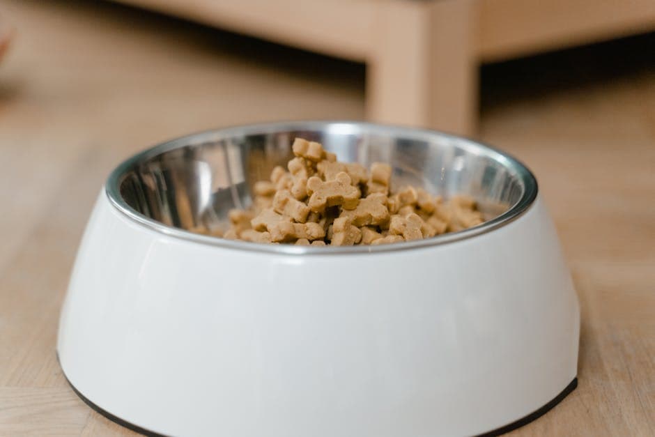 The Science Behind Gentle Dog Treats Ingredients